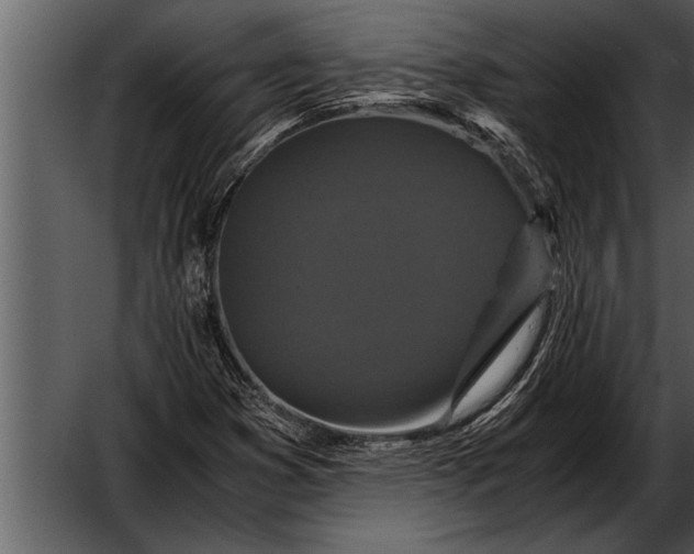 X0000052631353200507160120