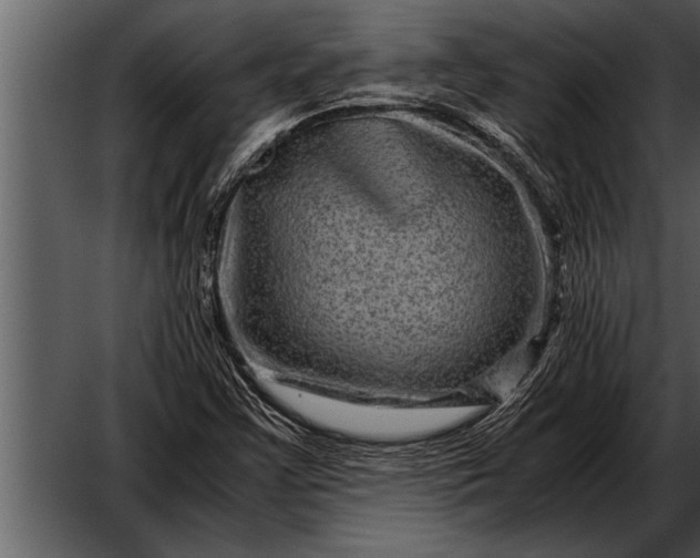 X0000052631355200507160120