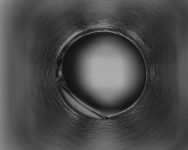 X0000052631356200507160120