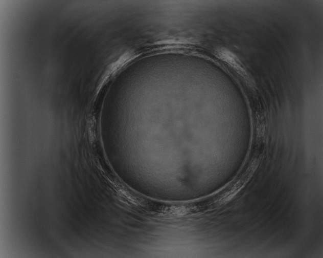 X0000052631357200507160120