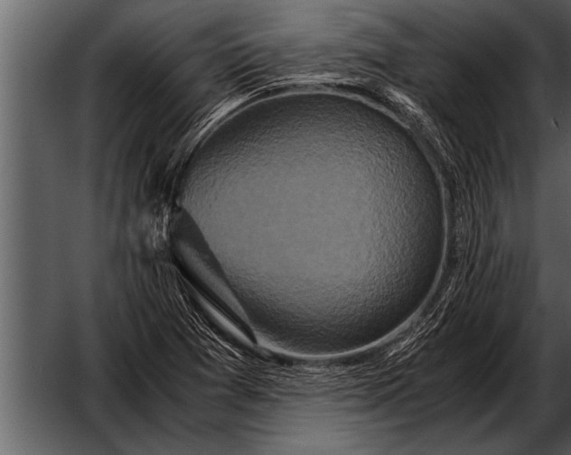 X0000052631361200507160119