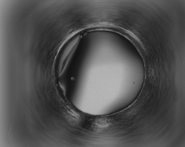 X0000052631364200507160119