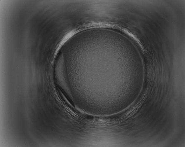 X0000052631365200507160119