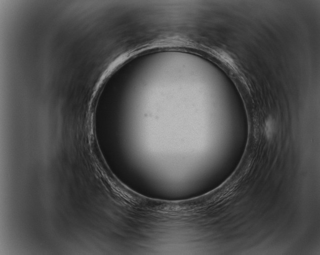 X0000052631366200507160119