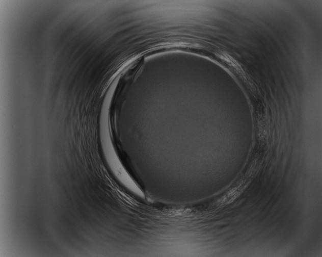 X0000052631369200507160119