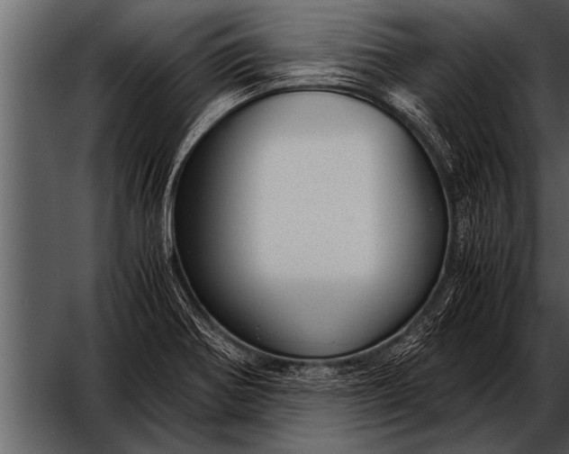 X0000052631370200507160119