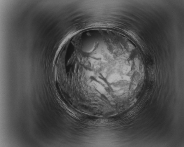 X0000052631371200507160119