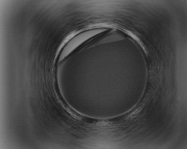 X0000052631373200507160119