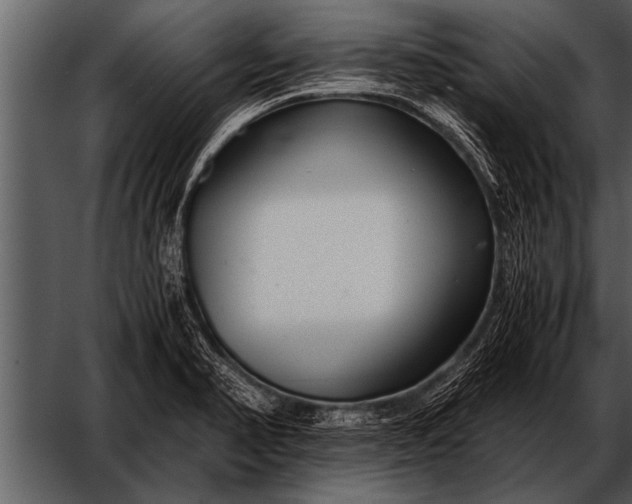 X0000052631374200507160119