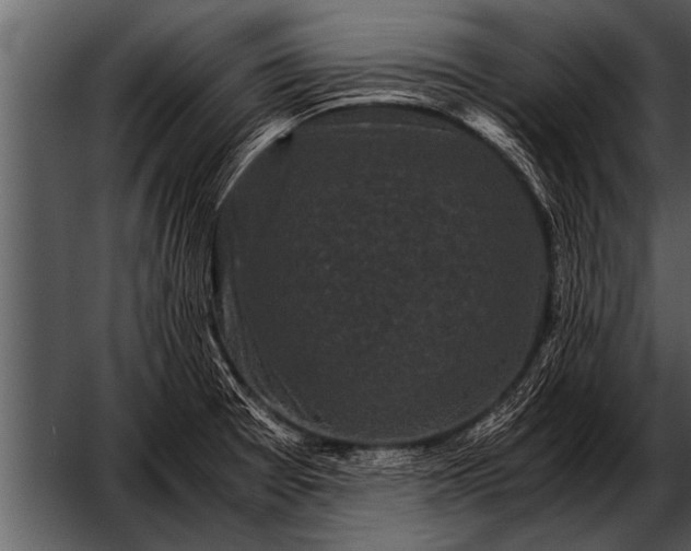 X0000052631377200507160119