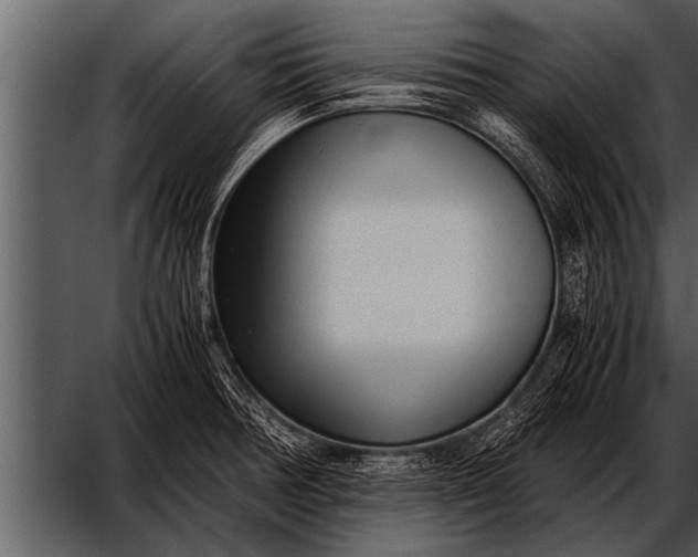 X0000052631378200507160119