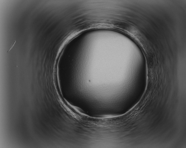 X0000052631379200507160119