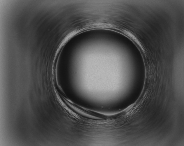 X0000052631381200507160119