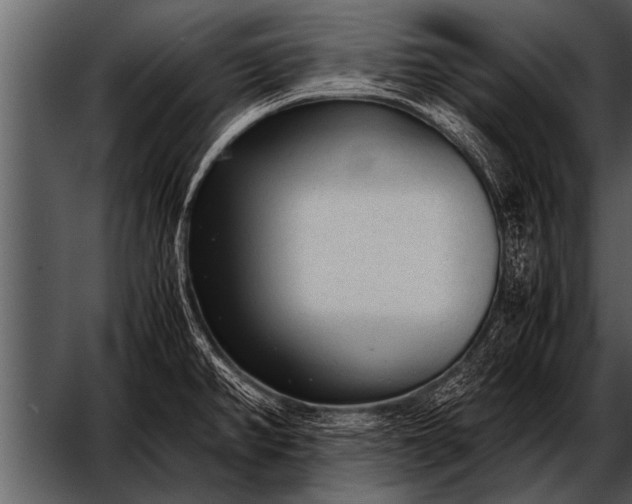 X0000052631382200507160119