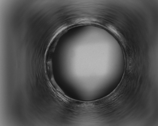 X0000052631384200507160119