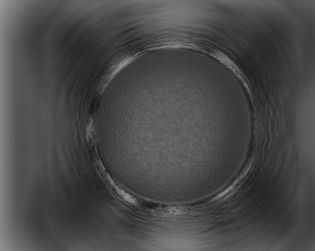 X0000052631385200507160119