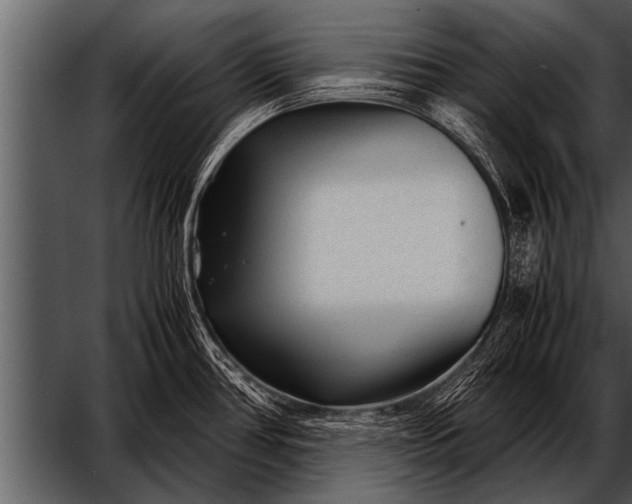 X0000052631386200507160119