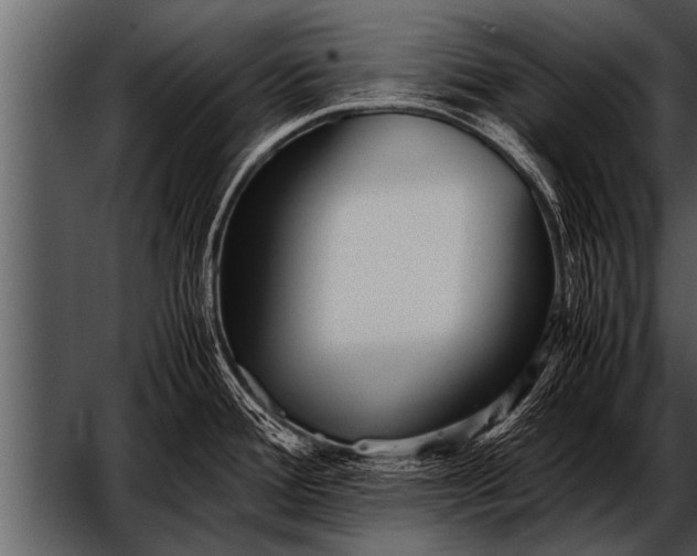 X0000052631388200507160119