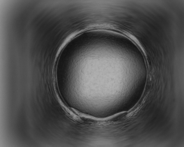 X0000052631389200507160119