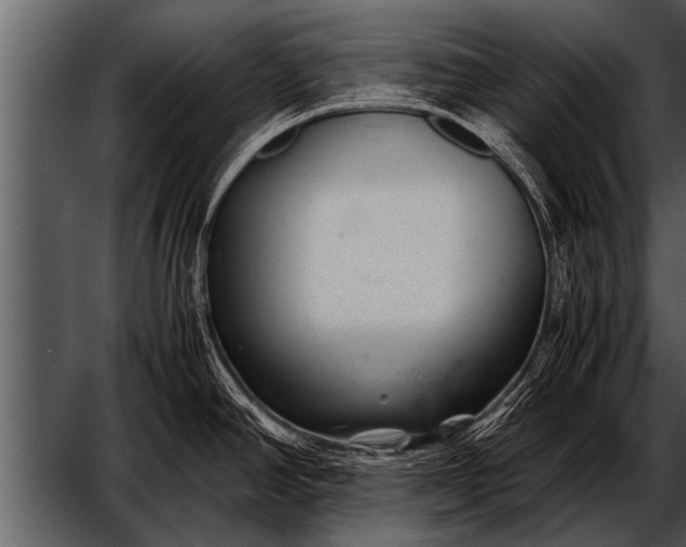 X0000052631390200507160119