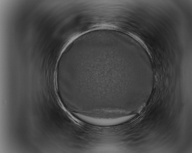 X0000052631391200507160119
