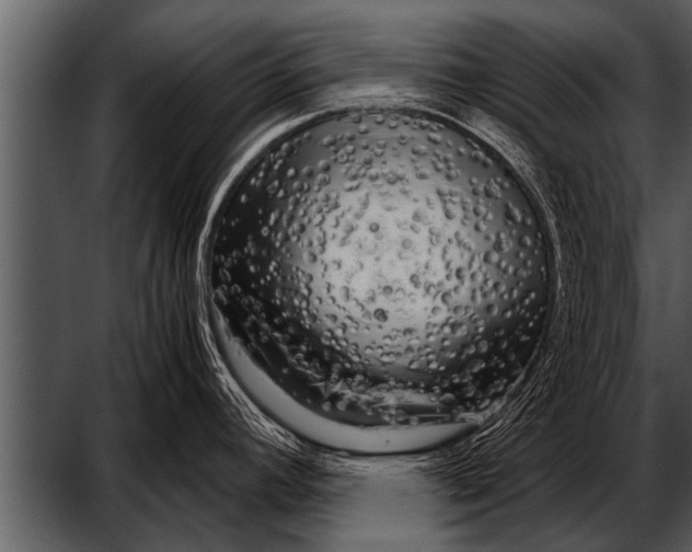 X0000052631392200507160119