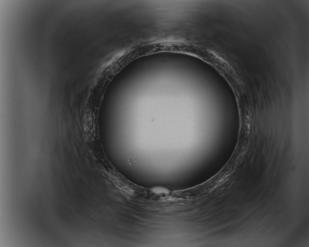 X0000052631398200507160118