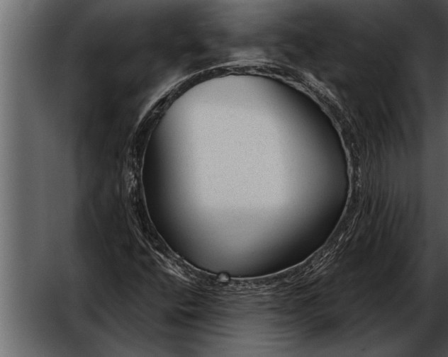 X0000052631400200507160118