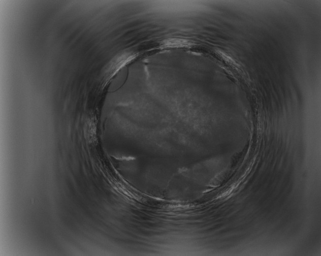 X0000052631401200507160118