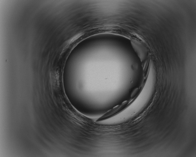 X0000052631402200507160118