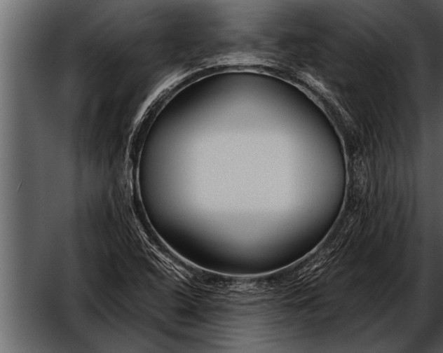 X0000052631408200507160118