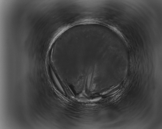 X0000052631413200507160118