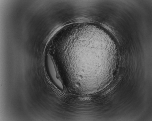 X0000052631415200507160118