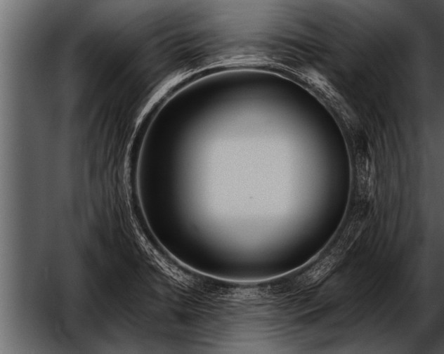 X0000052631422200507160119