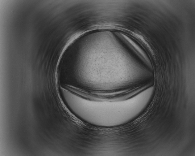 X0000052631424200507160119