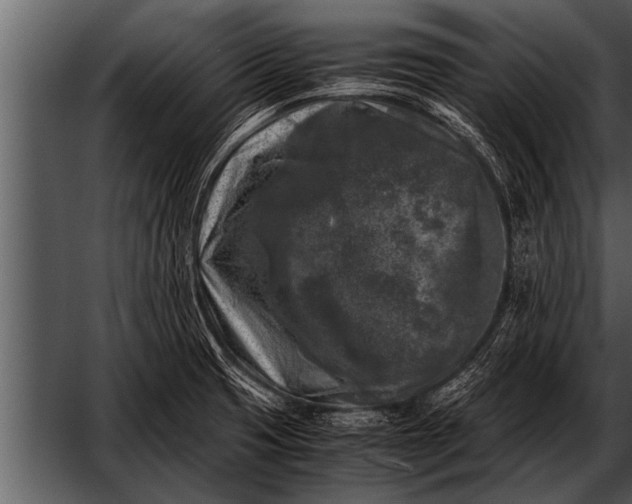 X0000052631425200507160119