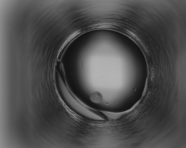 X0000052631426200507160119