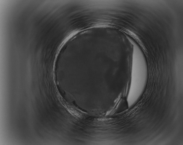 X0000052631427200507160119