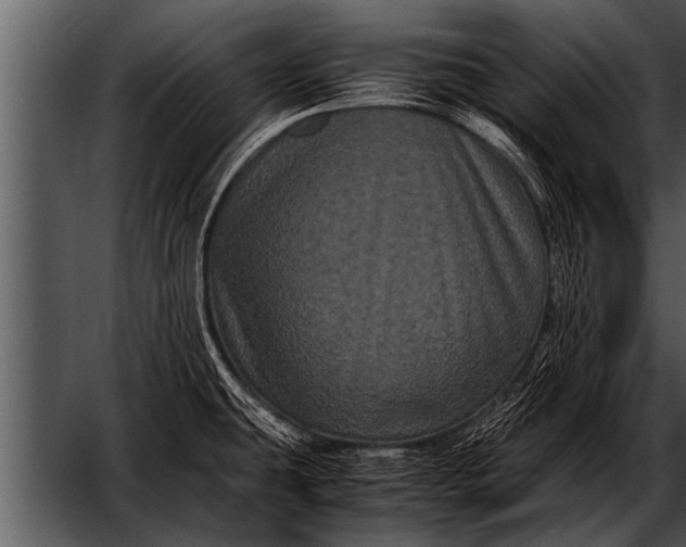 X0000052631431200507160119