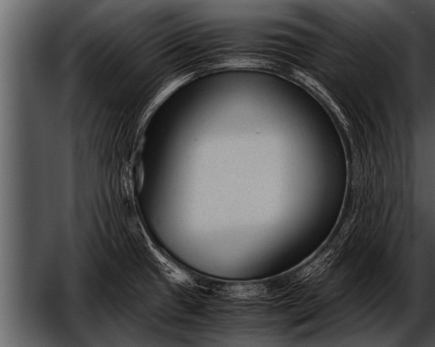X0000052631433200507160119