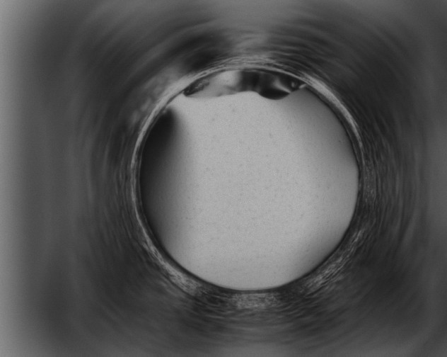 X0000052631437200507160119