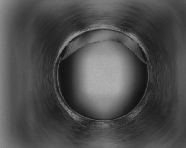 X0000052631438200507160119