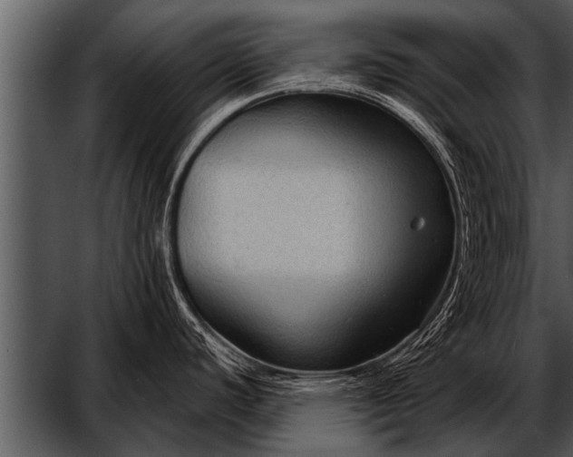 X0000052631440200507160119
