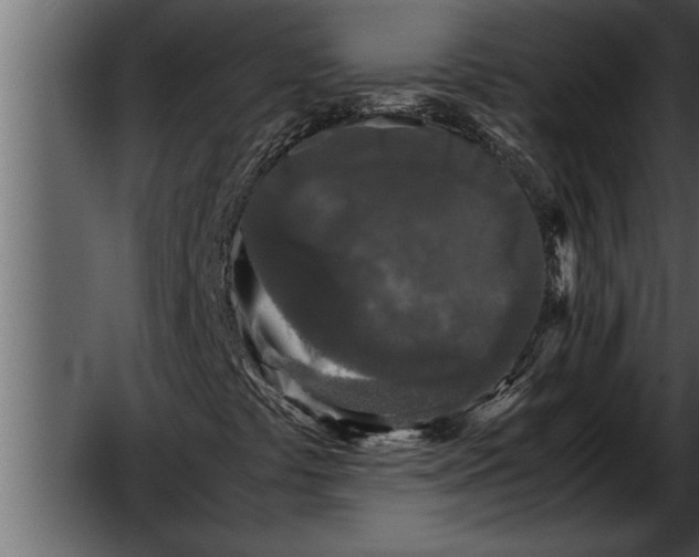 X0000052631441200507160118