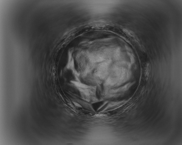 X0000052631445200507160118