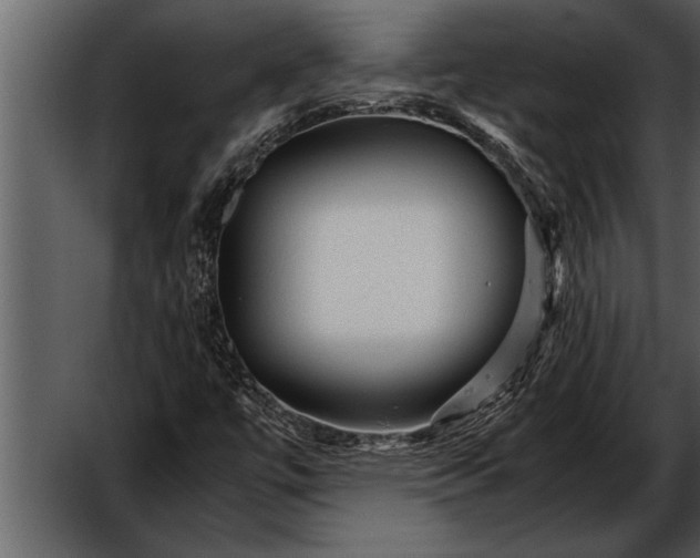 X0000052631447200507160118