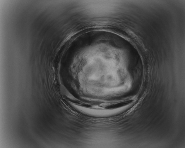 X0000052631449200507160118