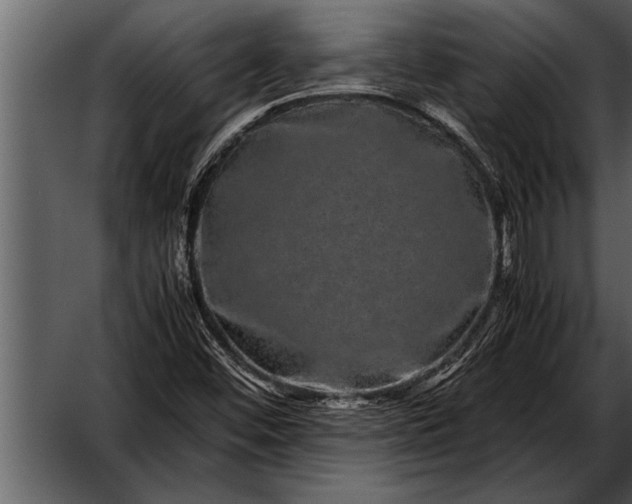 X0000052631452200507160118