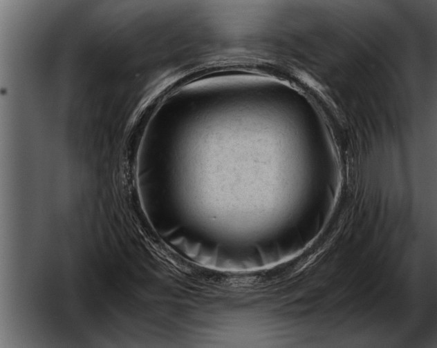 X0000052631453200507160118