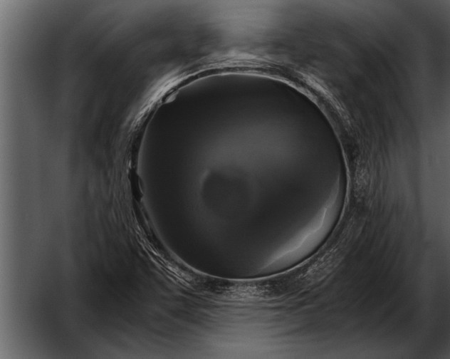 X0000052631455200507160118